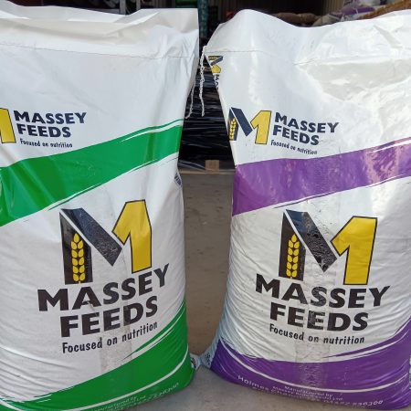 Two Massey Feeds bags - one green and white bag and one purple and white back.