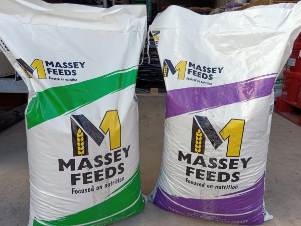 Two Massey Feeds bags - one green and white bag and one purple and white back.