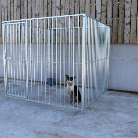 Dog Kennels