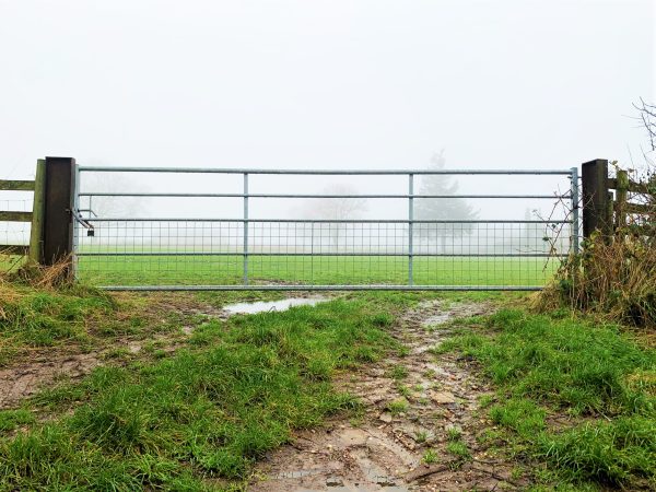 A steel half mesh gate situated in-between two grassy fields on a foggy day.