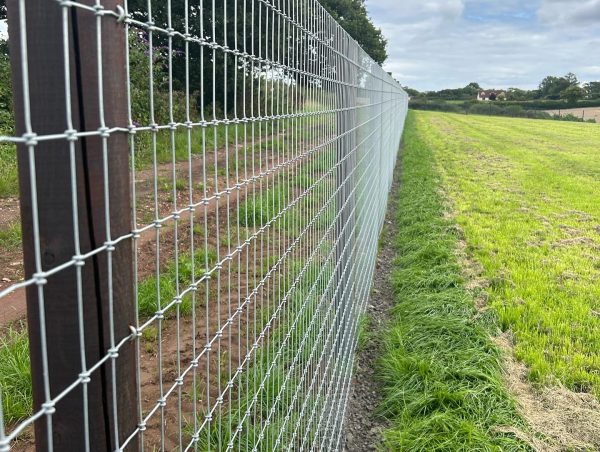 A close up image of a wire fence running along a grassy field.