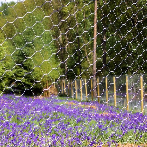 A close up image of chicken wire netting with Bluebells in the background.