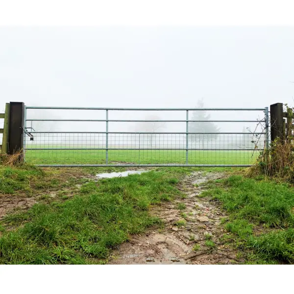 Half Mesh Gate in a field.