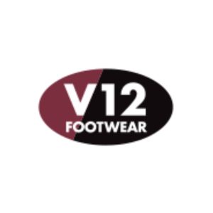 V12 logo